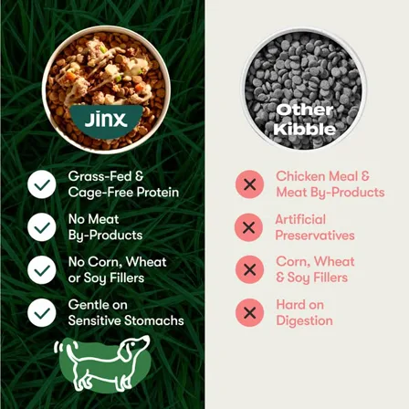 A Jinx image ad: a bowl of Jinx food with four green ticks beside a bowl of grey kibble with four red crosses
