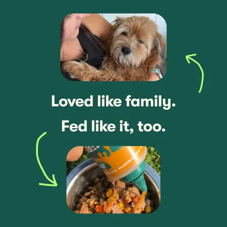 A Jinx ad creative: a photo of a small dog above a bowl of kibble with a topper being poured on, under the line loved like family, fed like it too