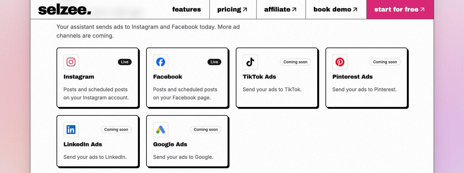Selzee MCP server channels: Instagram and Facebook are live for posts and scheduled posts, TikTok, Pinterest, LinkedIn and Google Ads are coming soon