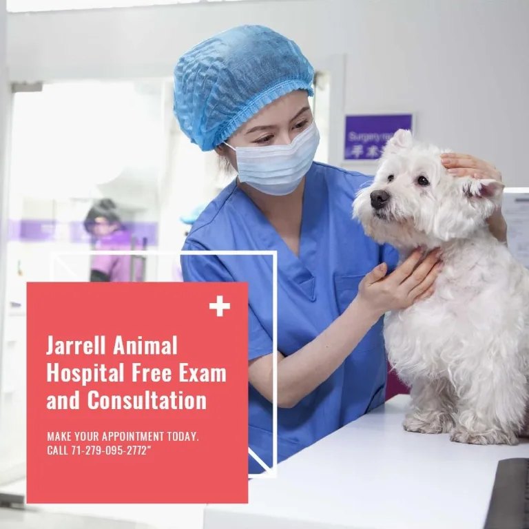 A vet clinic post offering a free exam and consultation: the caption adds the booking line and the phone number the picture cannot hold