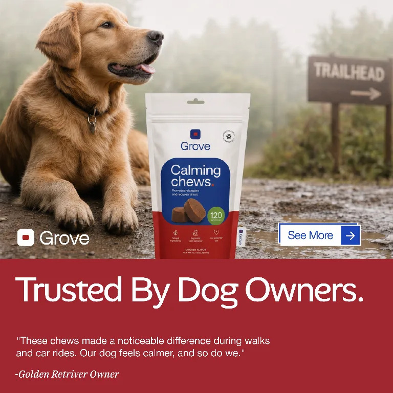 A dog-chew post headlined Trusted By Dog Owners over a real customer sentence: a post written out of the comments rather than out of a prompt