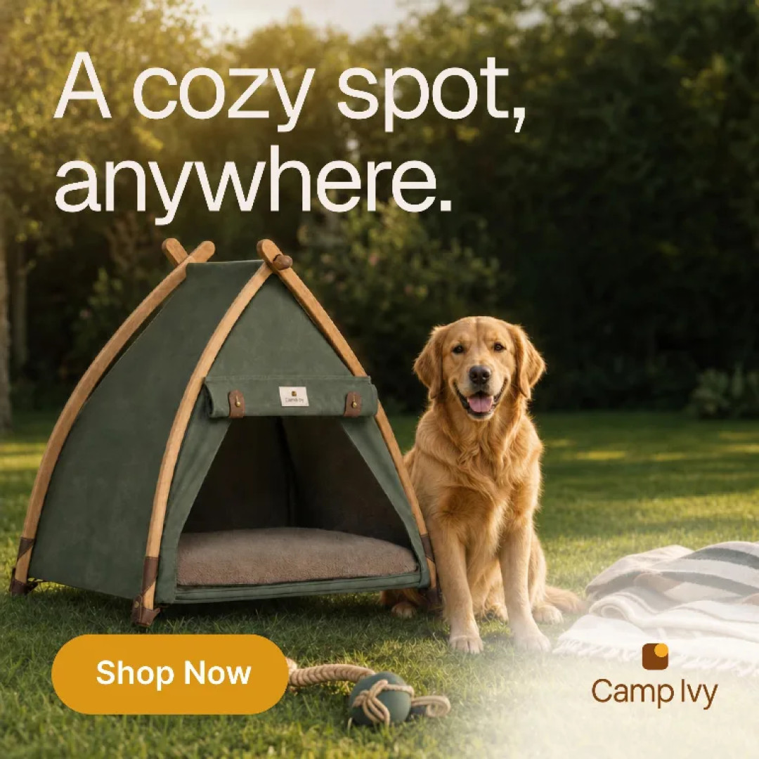 A camping post with the headline A cozy spot, anywhere set across the top of the frame