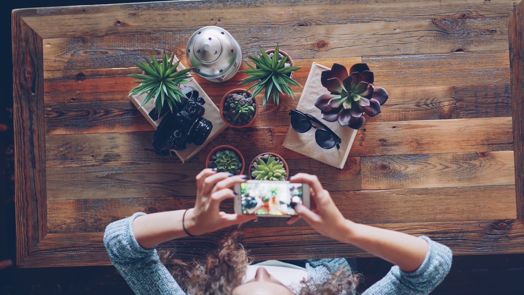 Hands photographing a table of plants from above, the shot framed on the phone screen before the shutter