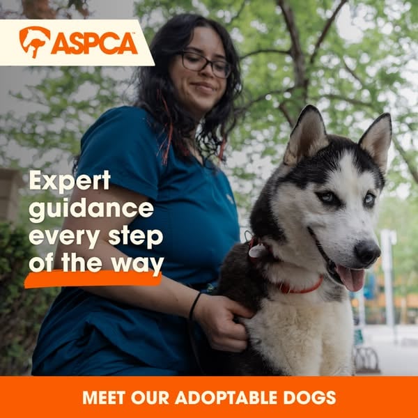 An ad by ASPCA in Meta's Ad Library: a smiling woman kneels next to a husky above the words Expert guidance every step of the way