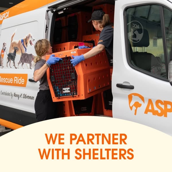 An ad by ASPCA in Meta's Ad Library: two women load an orange pet crate into an ASPCA rescue van under the words We partner with shelters