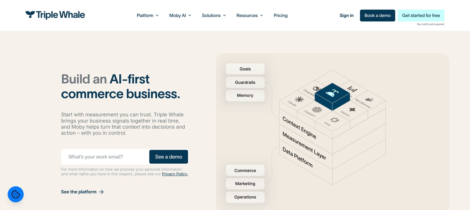 Triple Whale homepage with the headline Build an AI-first commerce business and a work email field