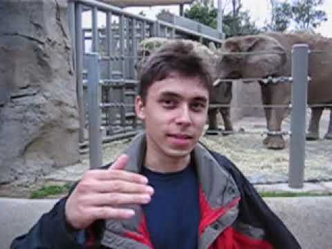 The 480 x 360 thumbnail of Me at the zoo: a young man in front of an elephant enclosure