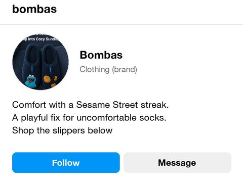 Instagram Bio Generator preview
