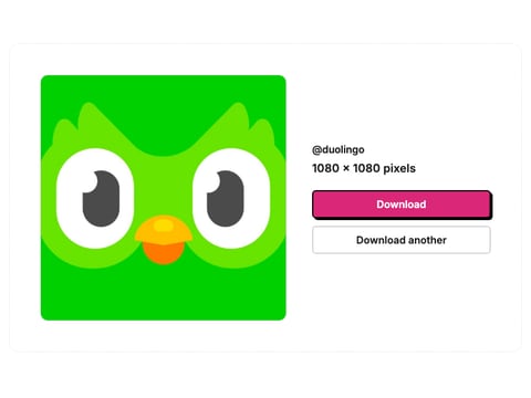 TikTok Profile Picture Downloader preview